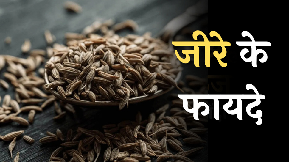 Cumin Benefit: आम मसाला नहीं है जीरा, फायदे जानकर हो जाएंगे हैरान Cumin Benefit: आम मसाला नहीं है जीरा, फायदे जानकर हो जाएंगे हैरान