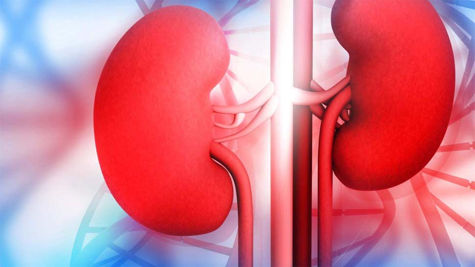World Kidney Day: शरीर में जब दिखाई दे ये लक्षण तो न करें देर; हो सकती है किडनी की बीमारी World Kidney Day: शरीर में जब दिखाई दे ये लक्षण तो न करें देर; हो सकती है किडनी की बीमारी