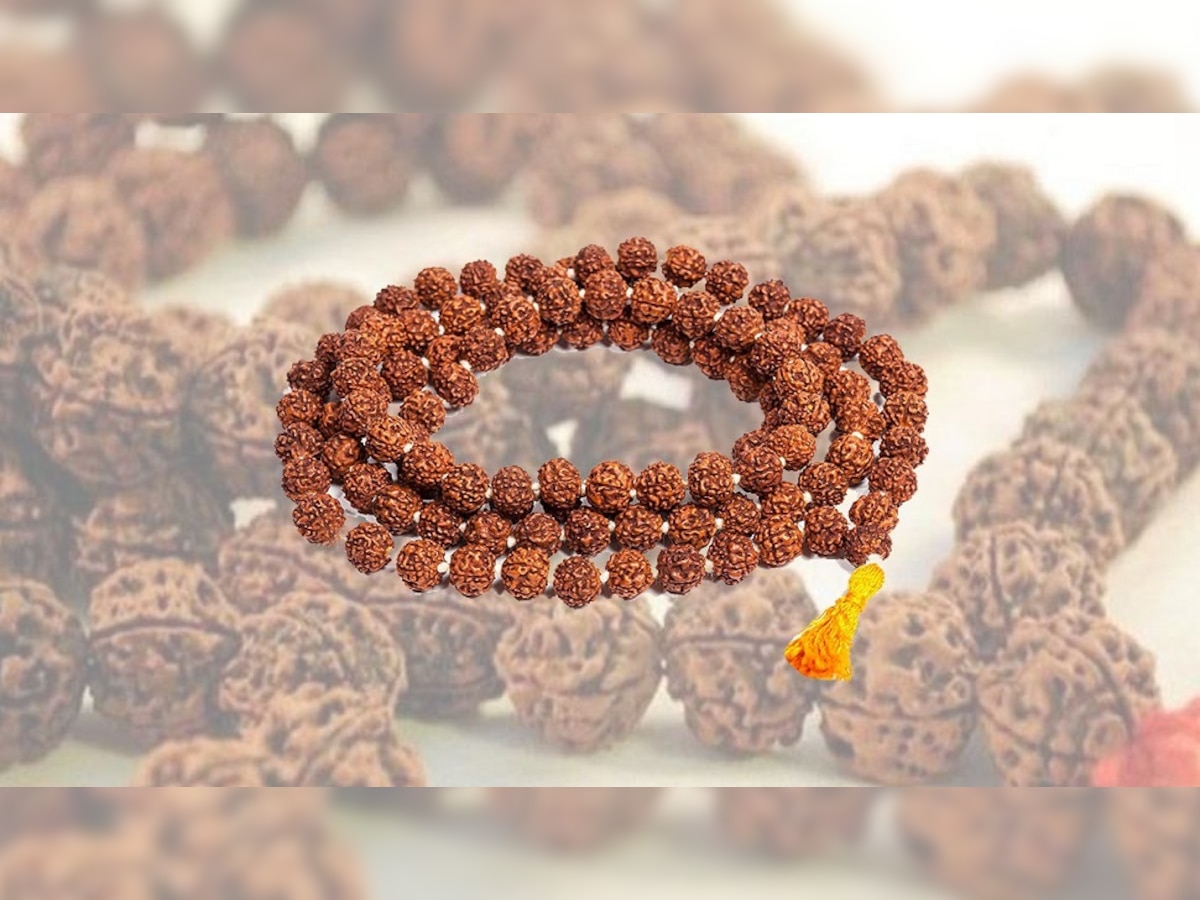 Rudraksha Benefits: महाकाल शिव को सबसे प्रिय है रुद्राक्ष, धारण करने से बदल जाती है किस्मत