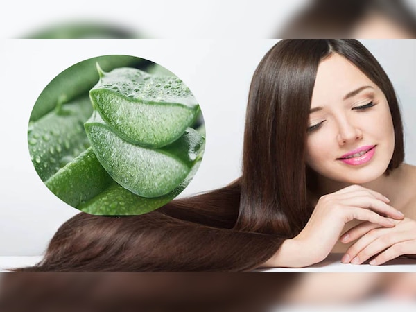 Aloevera benefits: हेयर स्पा से कम नहीं है एलोवेरा का ये मास्क, बालों को बना देगा चमकदार और मजबूत