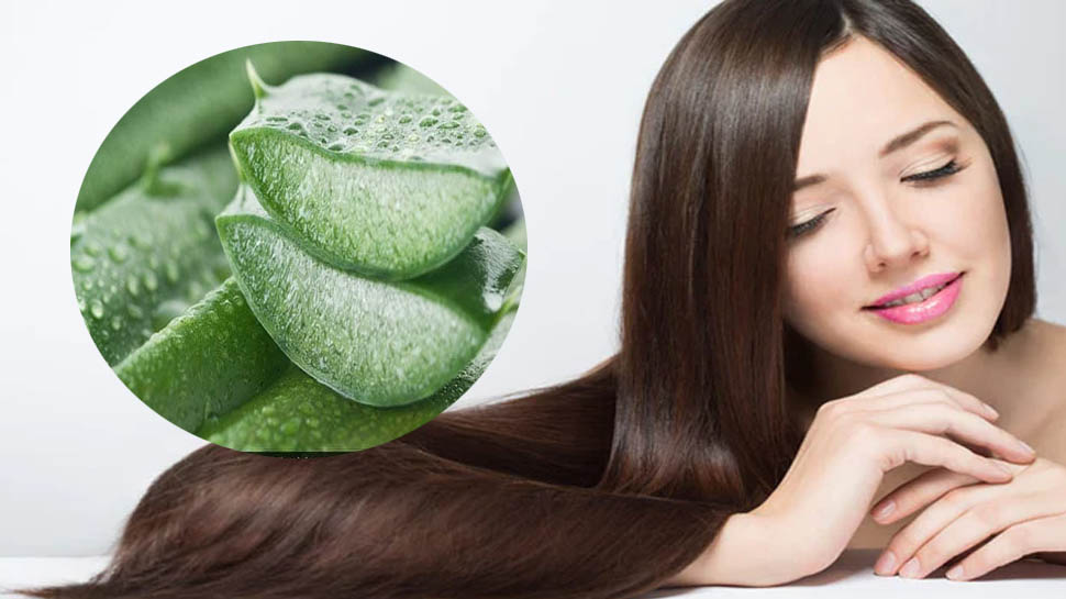 Aloevera benefits: हेयर स्पा से कम नहीं है एलोवेरा का ये मास्क, बालों को बना देगा चमकदार और मजबूत Aloevera benefits: हेयर स्पा से कम नहीं है एलोवेरा का ये मास्क, बालों को बना देगा चमकदार और मजबूत