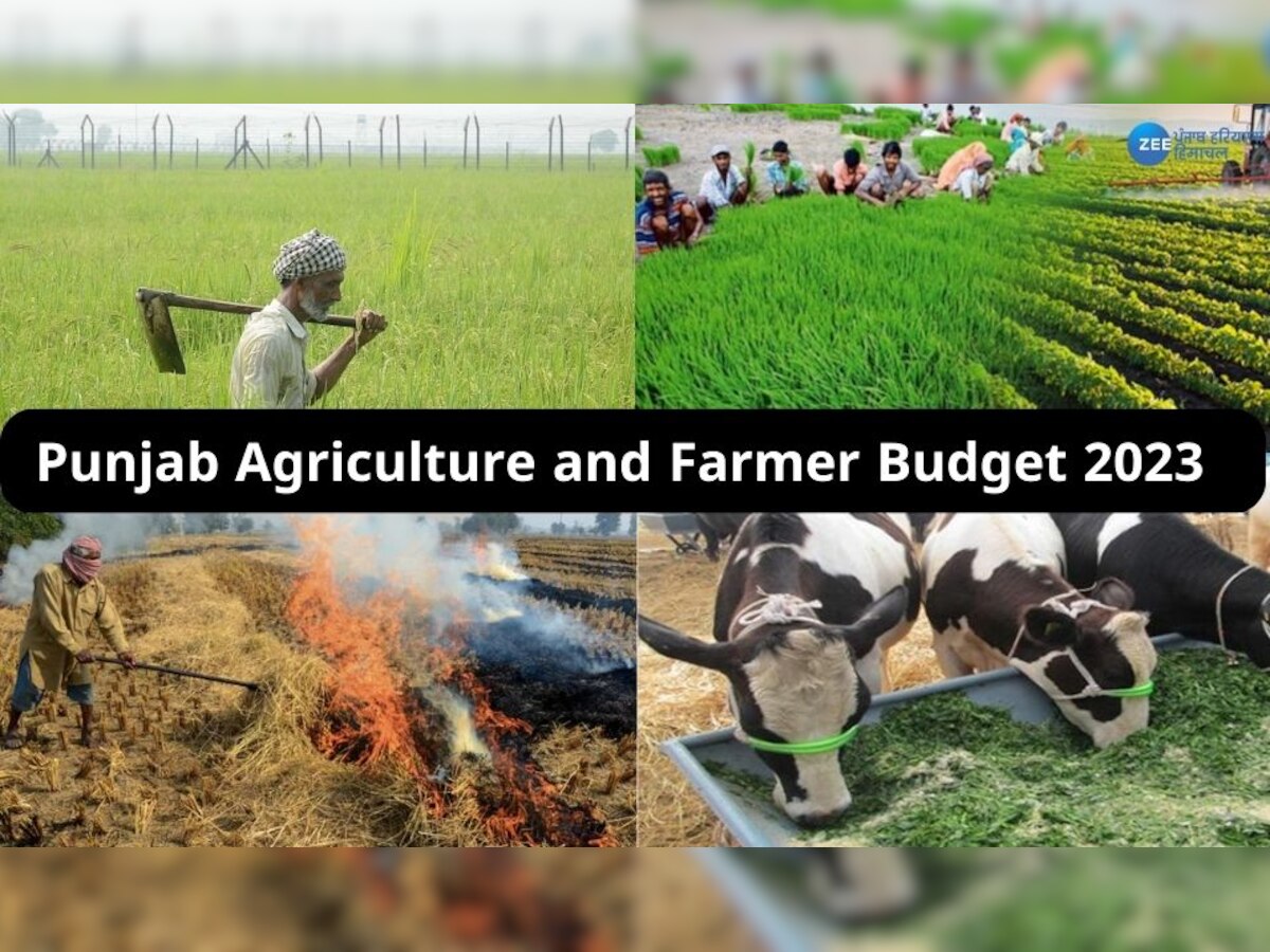 Punjab Agriculture and Farmer Budget 2023: ਪੰਜਾਬ ਸਰਕਾਰ ਦਾ ਕਿਸਾਨਾਂ ਲਈ ਵੱਡਾ ਐਲਾਨ; ਖੇਤੀ ਤੇ ਸਹਾਇਕ ਖੇਤਰ ਲਈ 13,888 ਕਰੋੜ ਰੁਪਏ ਦੀ ਤਜਵੀਜ਼ ਰੱਖੀ