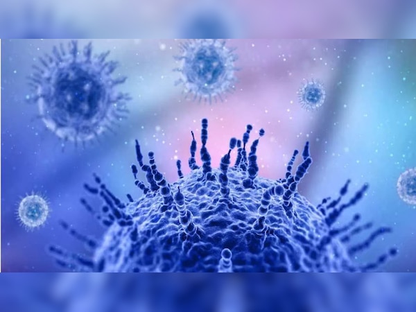 H3N2 Virus: अब फैल रहा है ये खतरनाक वायरस, जानें क्या हैं लक्षण, टेस्ट और इलाज