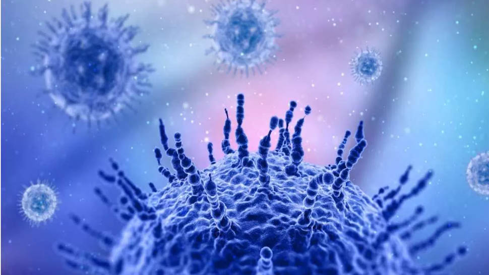 H3N2 Virus: अब फैल रहा है ये खतरनाक वायरस, जानें क्या हैं लक्षण, टेस्ट और इलाज H3N2 Virus: अब फैल रहा है ये खतरनाक वायरस, जानें क्या हैं लक्षण, टेस्ट और इलाज