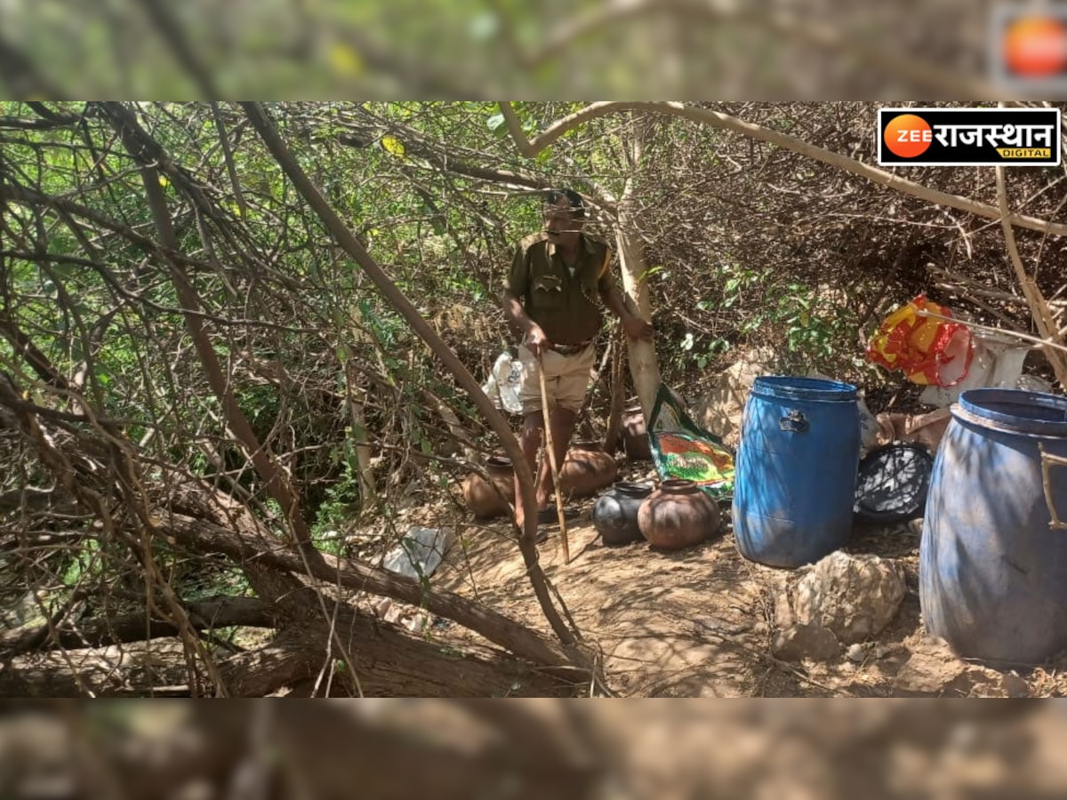 Dungarpur Crime: आबकारी विभाग ने आधा दर्जन ठिकानों पर दी दबिश, 2 हजार लीटर महुआ वॉश नष्ट, 3 गिरफ्तार