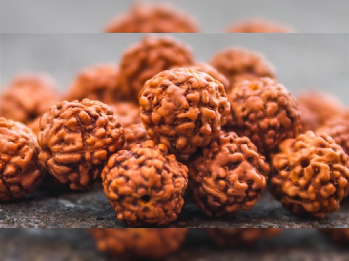 Rudraksha Benefits: भगवान विष्णु का प्रतीक होता है तेरह मुखी रुद्राक्ष, आर्थिक स्थिति में होती है बढ़ोतरी 