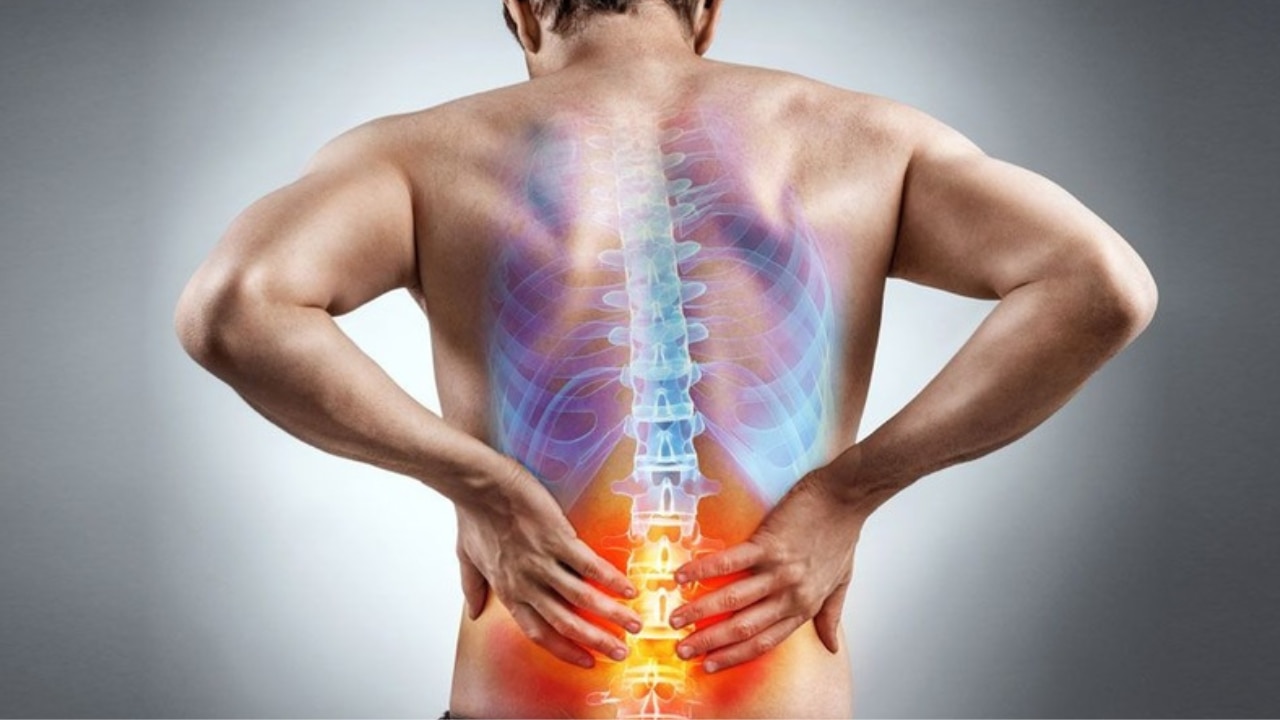 Back Pain: कमर दर्द से उठना-बैठना हो गया मुश्किल तो अपनाएं ये आसान उपाय, जल्द दिखने लगेगा फर्क