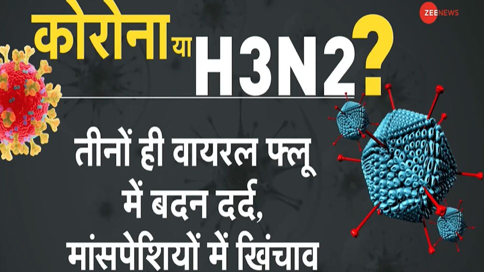 H3N2 के क्या हैं लक्षण, घबराने की क‍ितनी जरूरत? जानें इसके बारे में सबकुछ