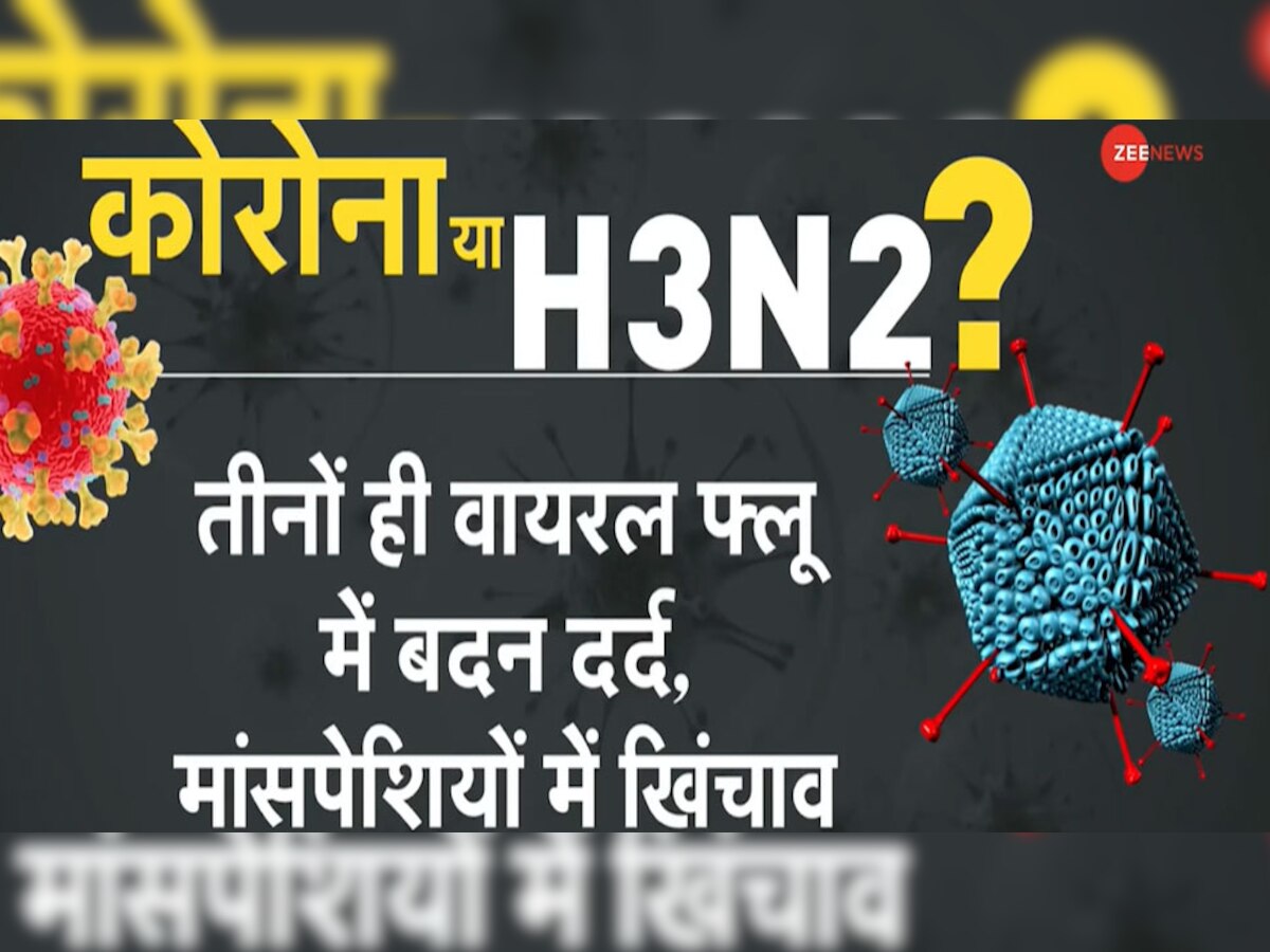 H3N2 के क्या हैं लक्षण, घबराने की क‍ितनी जरूरत? जानें इसके बारे में सबकुछ