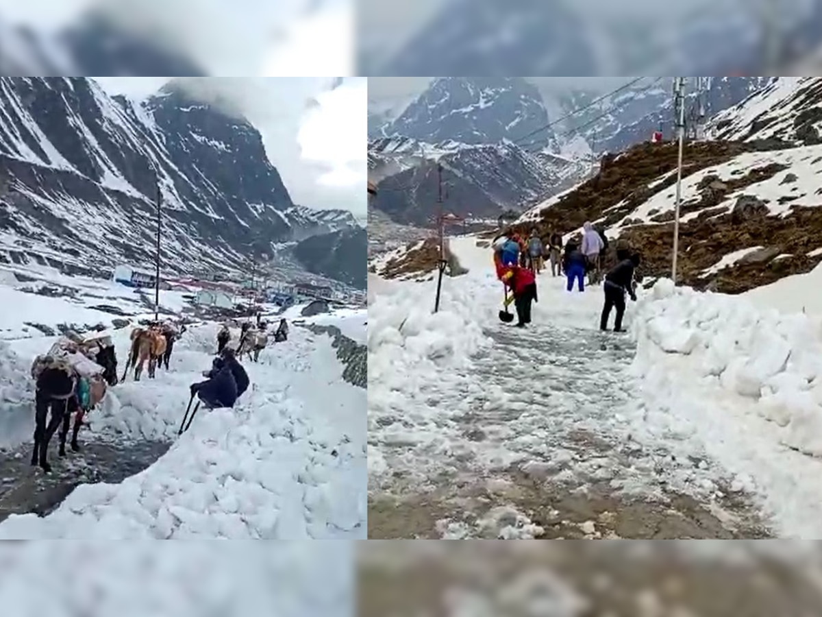 Char Dham Yatra 2023: केदारनाथ धाम तक घोड़े और खच्चरों की आवाजाही शुरू, जोरों पर चल रहा बर्फ हटाने का काम 