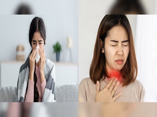 Covid के बाद अब  H3N2 से निपटने की तैयारी; नीति आयोग की मीटिंग, इन बातों का रखें ख़्याल