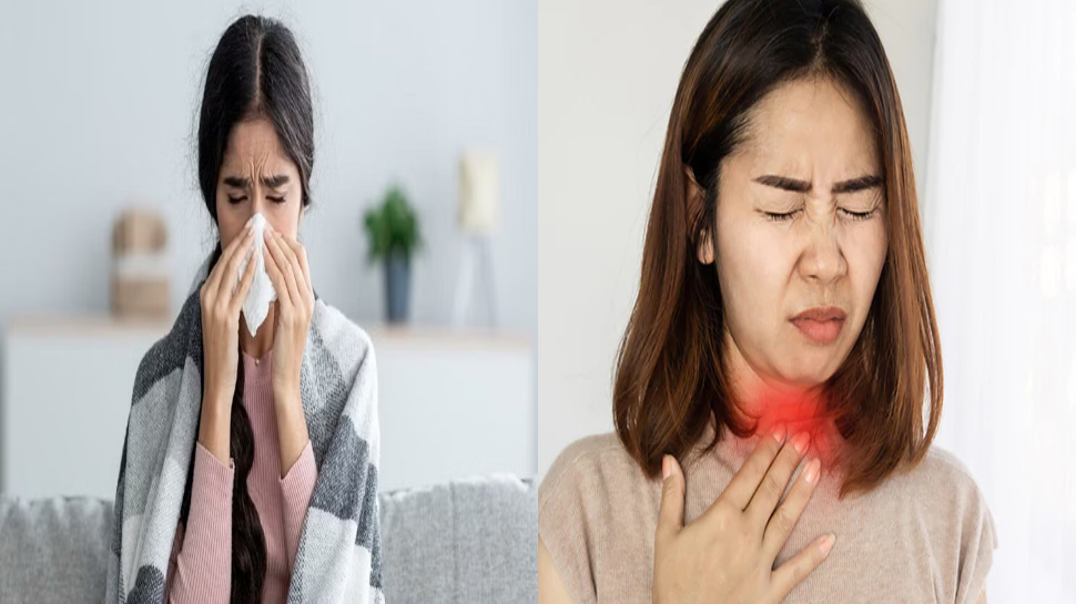 Covid के बाद अब H3N2 से निपटने की तैयारी; नीति आयोग की मीटिंग, इन बातों का रखें ख़्याल Covid के बाद अब H3N2 से निपटने की तैयारी; नीति आयोग की मीटिंग, इन बातों का रखें ख़्याल