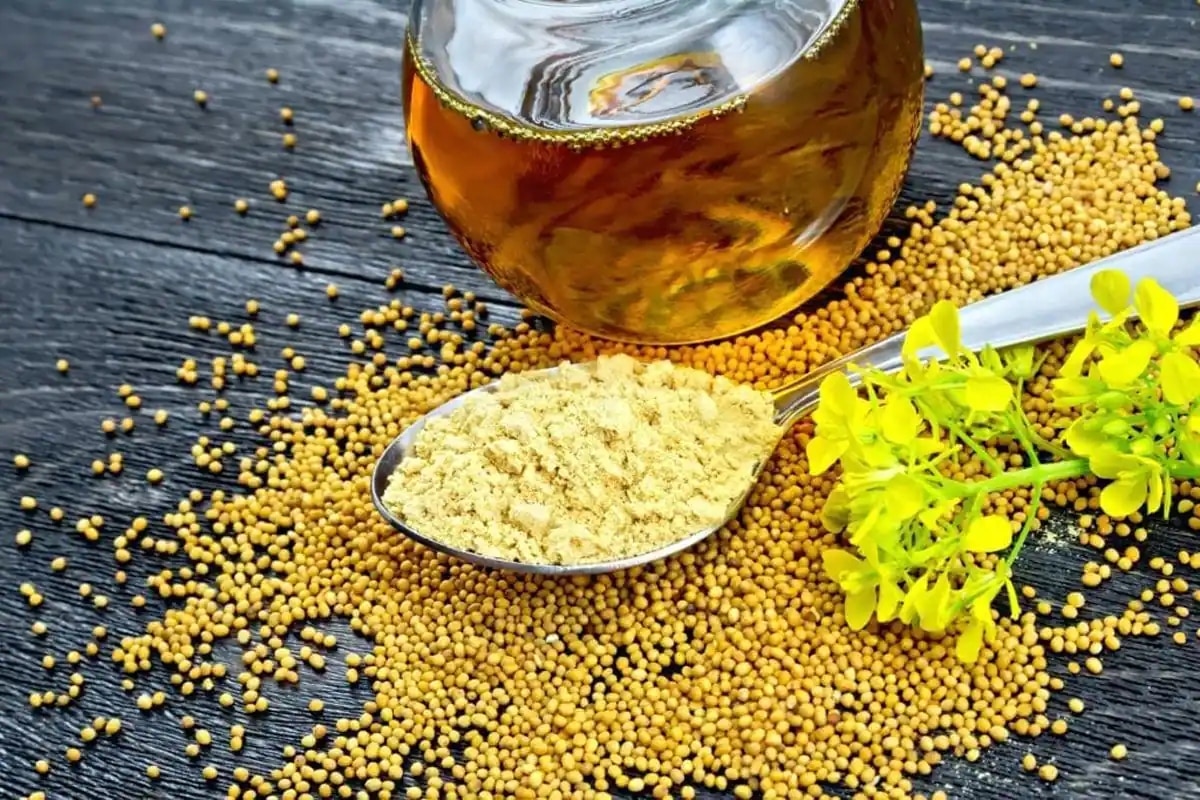 benefits-of-putting-mustard-oil-in-the-navel-nabhi-me-oil-dalne-ke