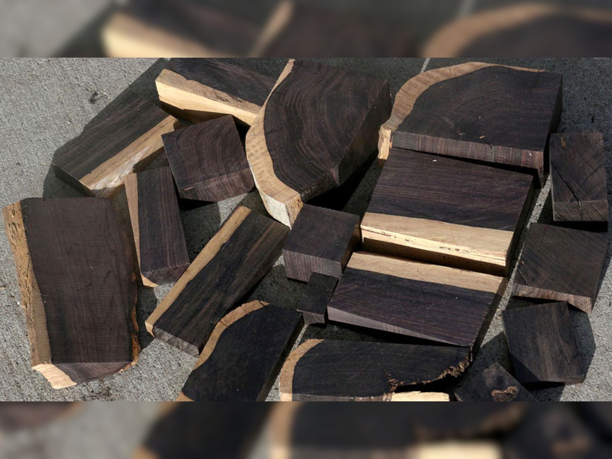 world most expensive wood african black wood You can Crorepati