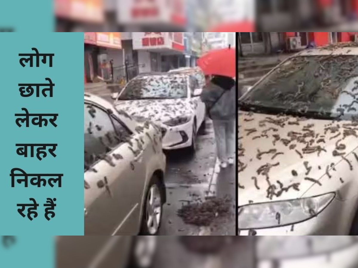 Worm Rain: चीन अचानक क्यों कराने लगा खतरनाक कीड़ों की बारिश? भड़के लोग- कोरोना से पेट नहीं भरा क्या