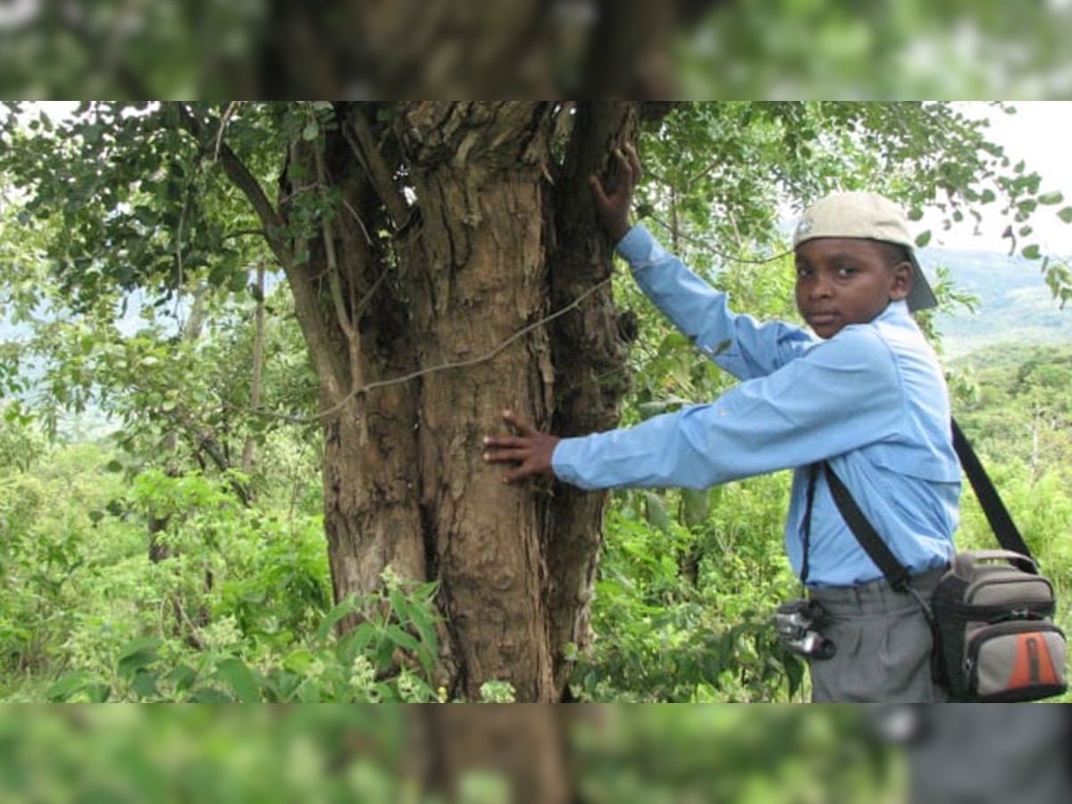 world most expensive wood african black wood You can Crorepati