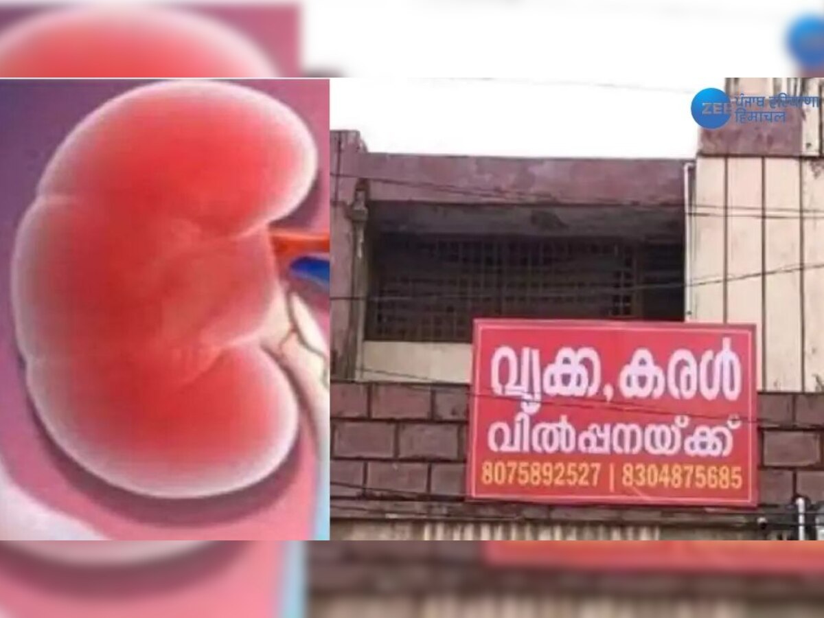 Kidney Liver For Sale News: ਕੇਰਲ ਦੇ ਸਖ਼ਸ਼ ਨੇ ਕਿਡਨੀ-ਲੀਵਰ ਵੇਚਣ ਲਈ ਲਗਾਏ ਪੋਸਟਰ, ਵਜ੍ਹਾ ਜਾਣ ਕੇ ਹੋ ਜਾਓਗੇ ਹੈਰਾਨ