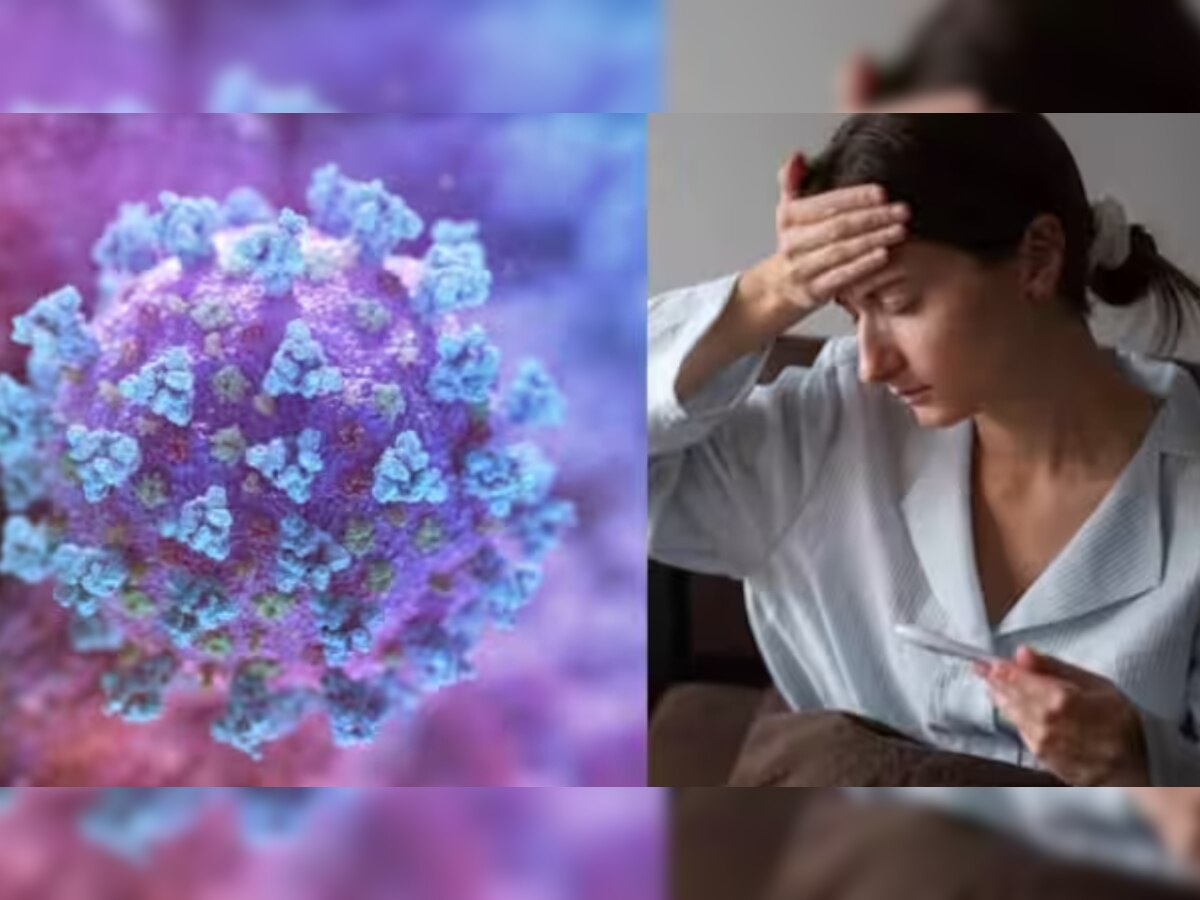 H3N2 Symptoms: कोरोना के बाद अब इस नए वायरस ने बढ़ाई मुश्किलें, जानें इन्फ्लुएंजा H3N2 वायरस के लक्षण और इलाज