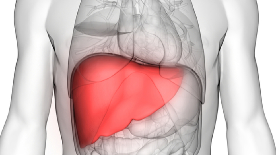Bad Liver: लिवर खराब होने के इन लक्षणों को नहीं करें नजरअंदाज, वरना हो सकती है बड़ी मुसीबत!