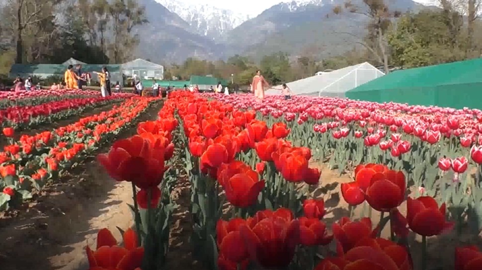 Himachal pradesh best tourist place for trip honeymoon in Dharamshala