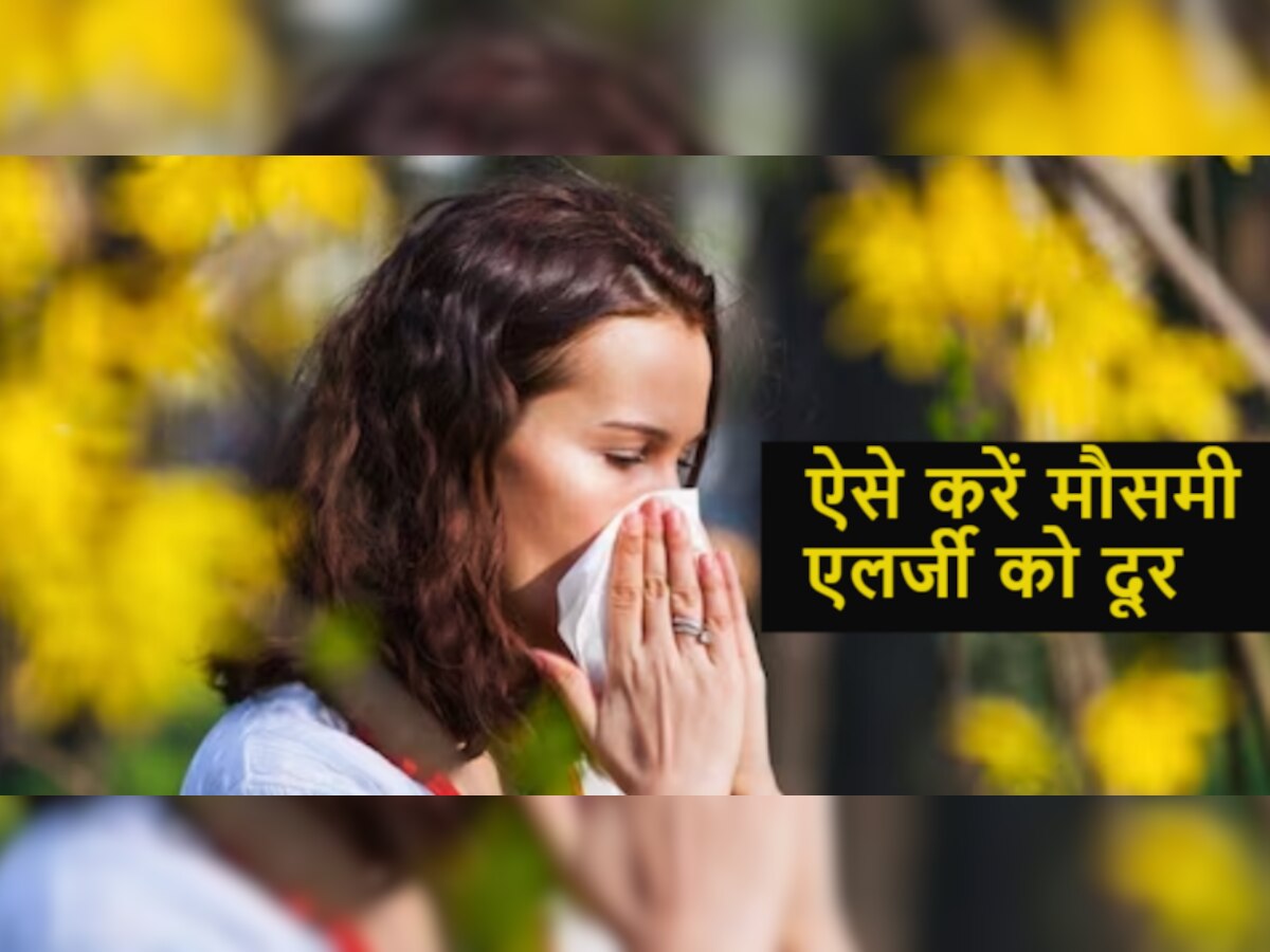 Cure For Allergies: मौसमी प्रदूषण, धूल-मिट्टी और नमी से आपको भी हो सकती है एलर्जी, अपनाएं ये घरेलू नुस्खे