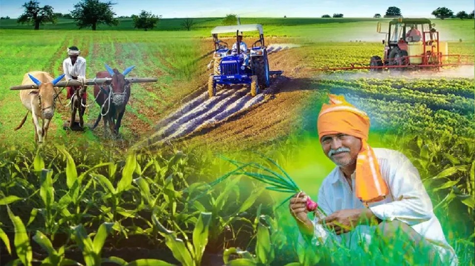 UP News:यूपी सरकार का किसानों को तोहफा : सरसों, चना और मसूर की फसल भी अब MSP पर खरीदेगी
