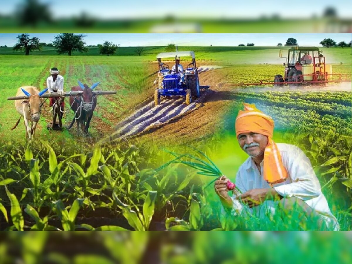 UP News:यूपी सरकार का किसानों को तोहफा : सरसों, चना और मसूर की फसल भी अब MSP पर खरीदेगी