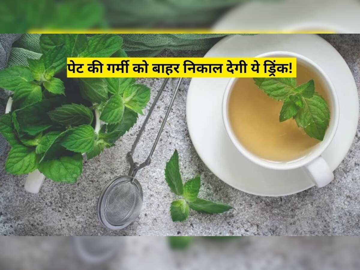 Summer Drink: पेट की गर्मी को बाहर निकाल देंगी ये हरी पत्तियां, लू लगने से बचा रहेगा शरीर