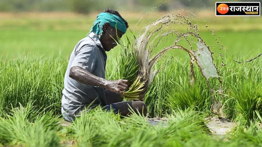 Raj Kisan Suvidha App launched khow all about this app here agriculture ...
