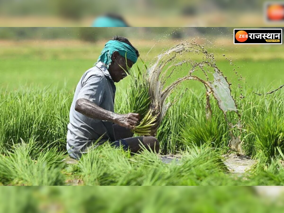 Raj Kisan Suvidha App: लॉन्च हुआ राज किसान सुविधा ऐप, नहीं काटना पड़ेगा अब ई-मित्र का चक्कर 