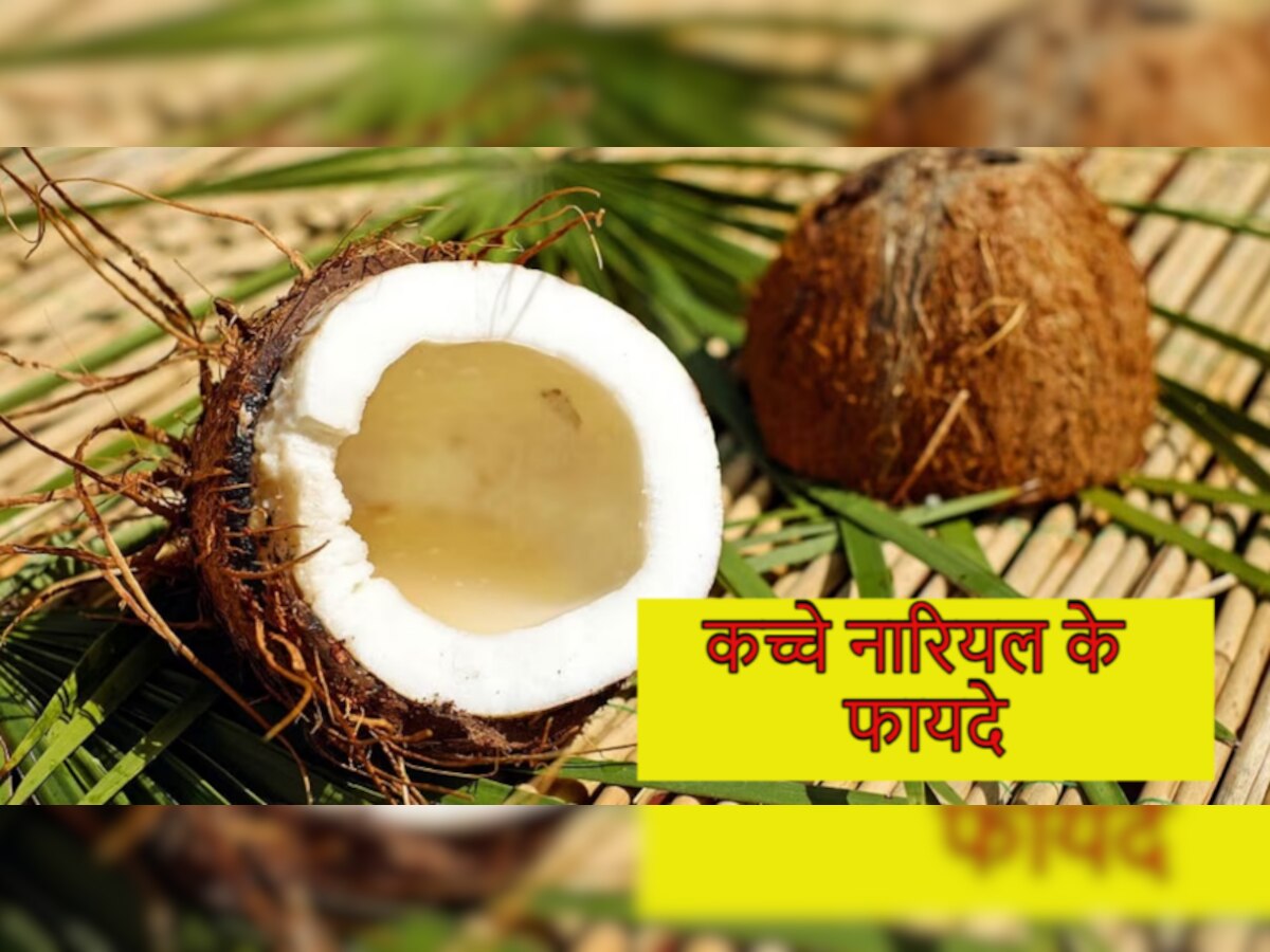 Coconut Benefits: गर्मियों में जरूर करें कच्चे नारियल का सेवन, बॉडी को मिलेगा पर्याप्त फाइबर और रफेज 