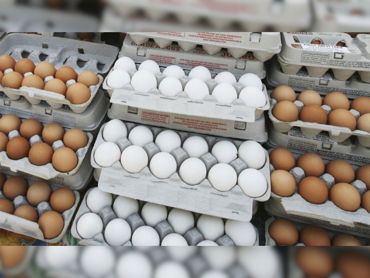 क्या आप भी अंडे फ्रिज में रखते हैं ? तो ये खबर आपके लिए है