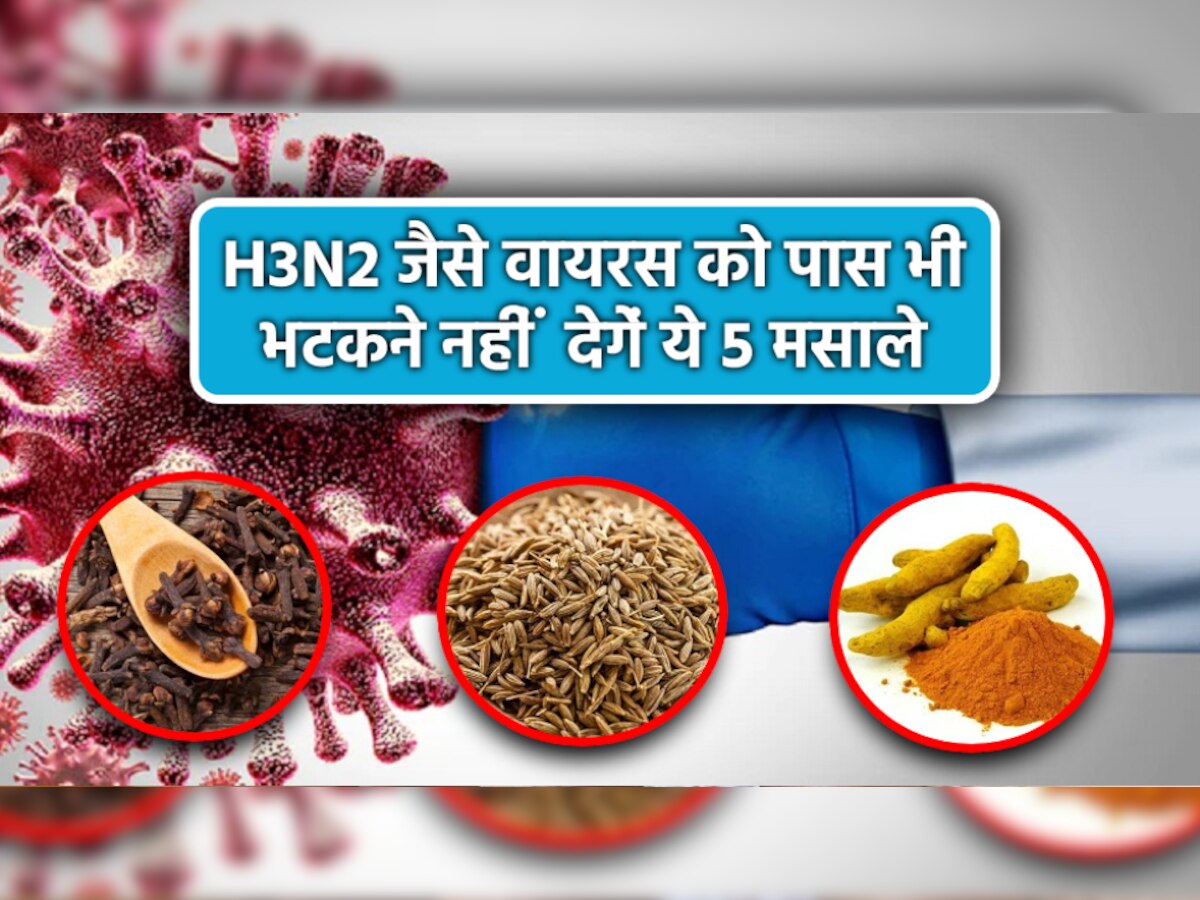 Spices To Boost Immunity: इम्यूनिटी बूस्ट कर शरीर को सुरक्षा कवच प्रदान करते हैं ये 5 मसाले, H3N2 जैसी बीमारियां रहेंगी कोसों दूर