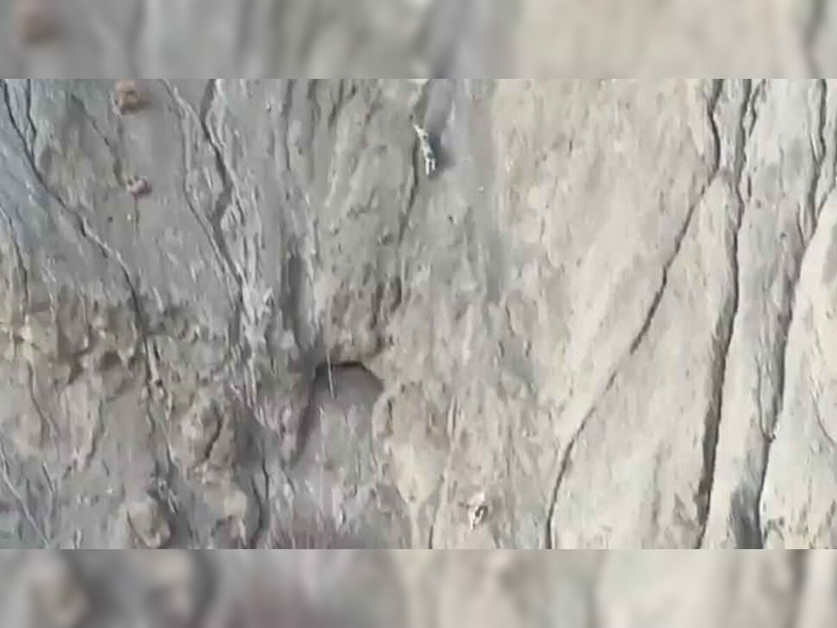 WATCH: क्या आपको इस तस्वीर में दिखा ‘पहाड़ों का भूत’,  IFS अधिकारी ने शेयर किया वीडियो 