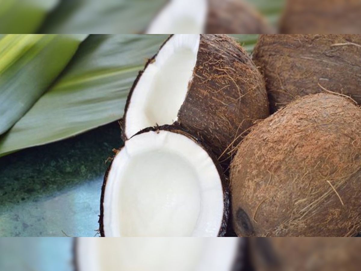 रोजाना खाएं एक टुकड़ा कच्चा नारियल, वजन घटाने-कोलेस्ट्रॉल कम करने में करता है मदद