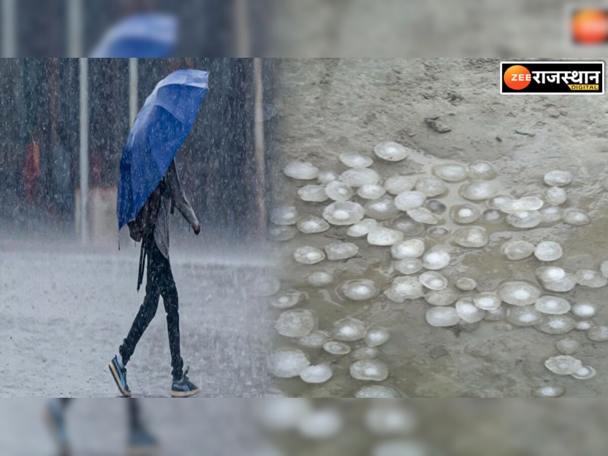 Rajasthan Weather Update: राजस्थान मौसम विभाग का अलर्ट जारी,  इन जिलों में बारिश के साथ गिरेंगे ओले 