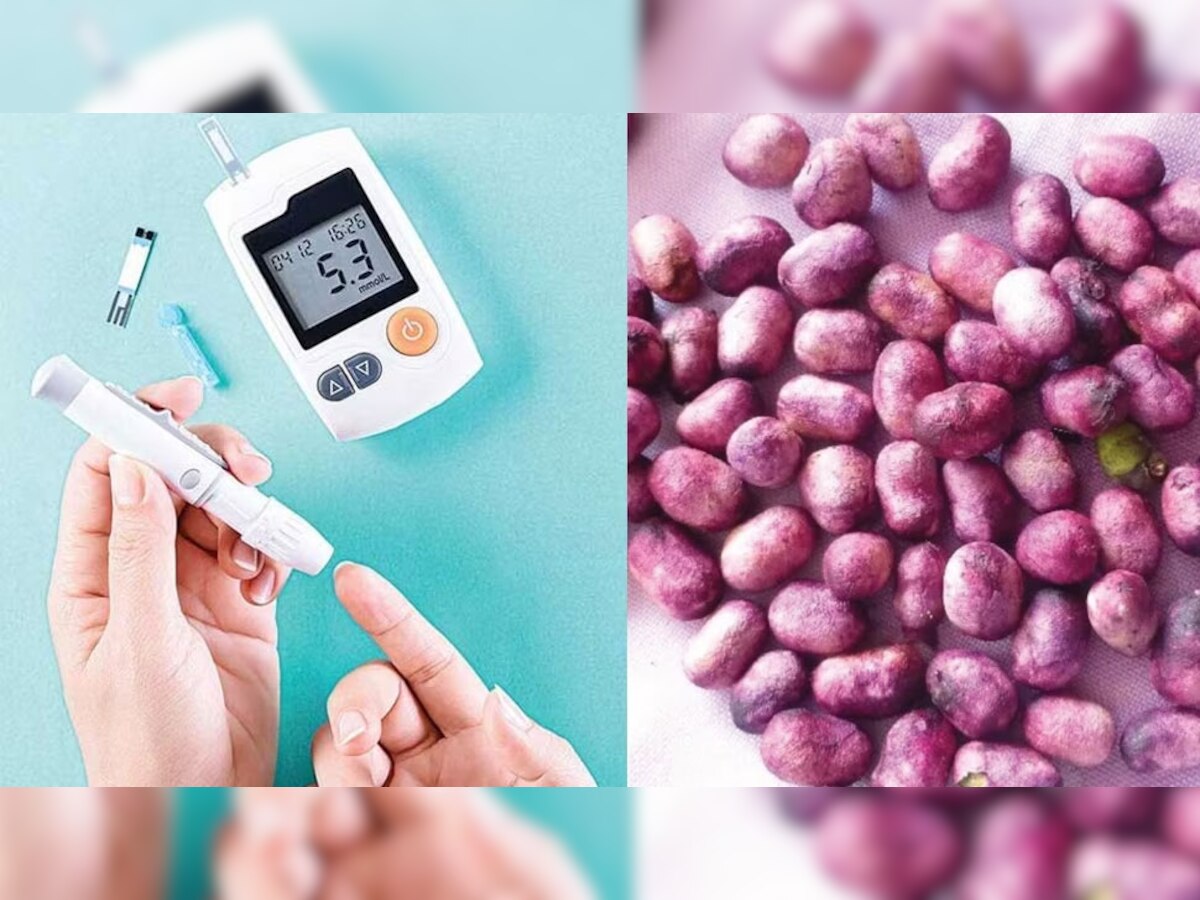 Ayurvedic Foods For Type 2 Diabetes Patient To Control Blood Sugar