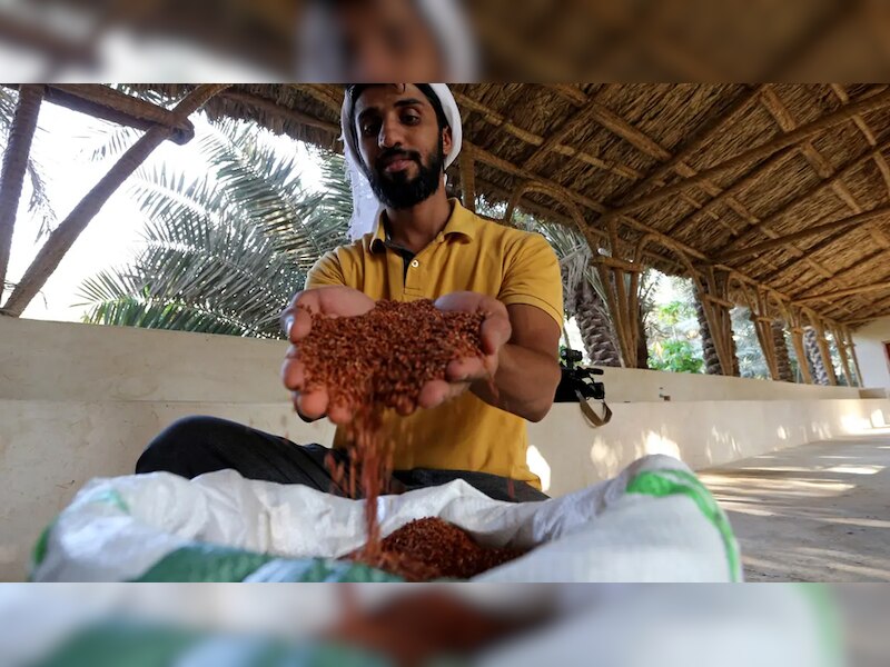 world's most expensive rice if eaten by old people they remain young ...
