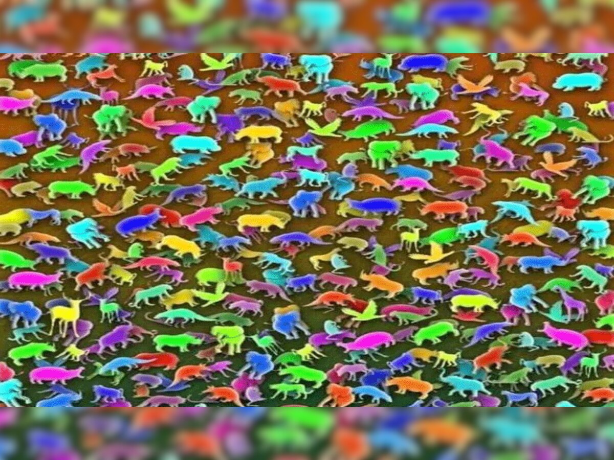 Optical Illusion : तस्वीर में जानवरों के बीच छिपा है एक जिराफ, सिर्फ 1 फीसदी स्मॉर्ट लोगों ने खोजा