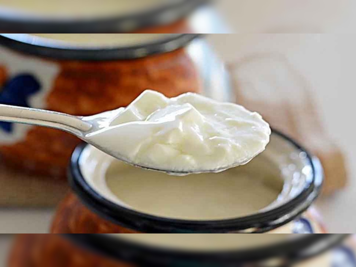 Benefits of Curd: रोजाना सिर्फ 1 कटोरी दही खाने से कम होगा वजन! बस ऐसे करना होगा सेवन 