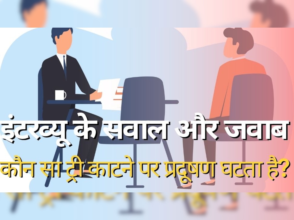 Interview Tricky Questions: ऐसा कौन सा ट्री है जिसे काटने पर प्रदूषण कम हो जाता है? 