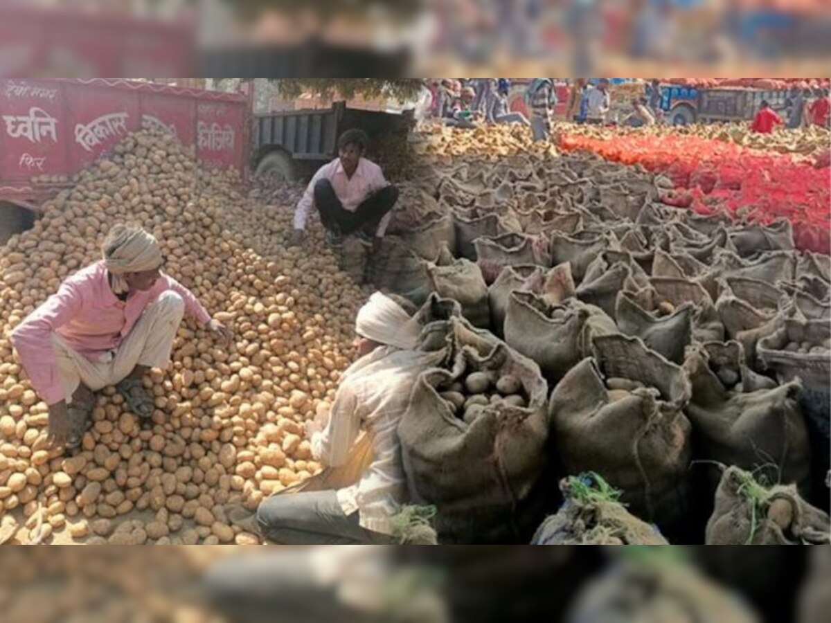 Potato Farmers in Mandi (File Photo)