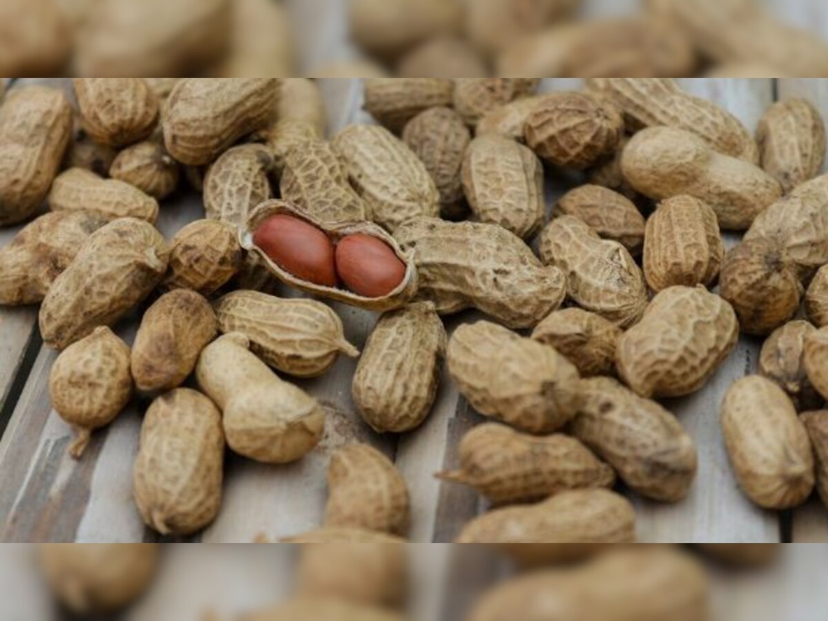 Peanuts: क्या हर दिन खानी चाहिए मूंगफली, जानिए इसके फाएदे और नुकसान