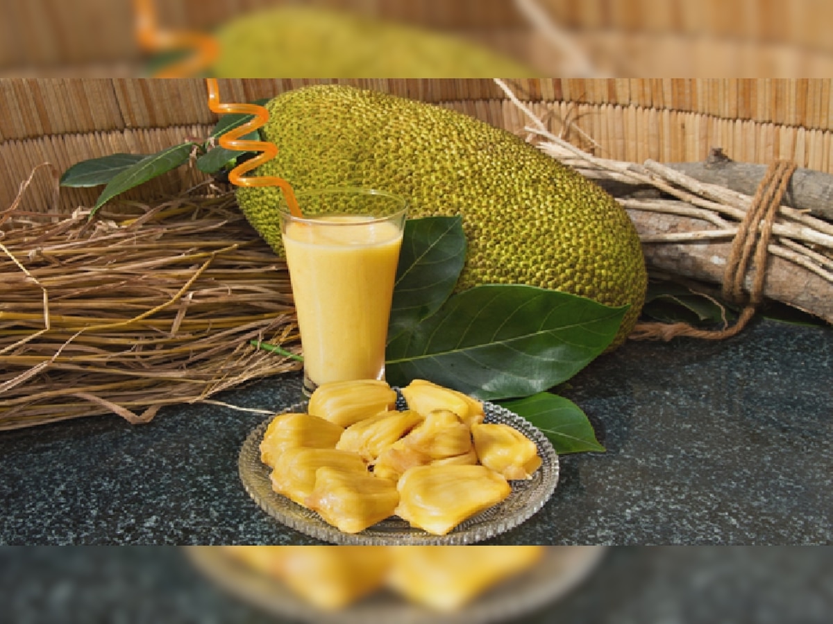 Jackfruit Benefits: स्वाद ही नहीं सेहत का खजाना है कटहल, इन बीमारियों से लड़ने में मिलती है मदद