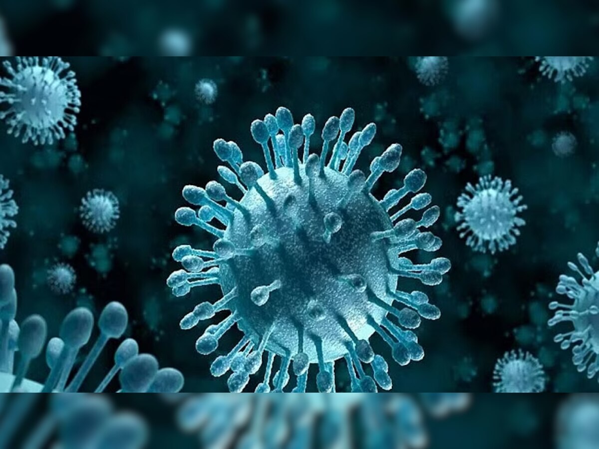 H3N2 Influenza Virus के मामलों को लेकर DDMA की बैठक में 'आपदा मित्र' योजना के साथ लिया गया ये फैसला 