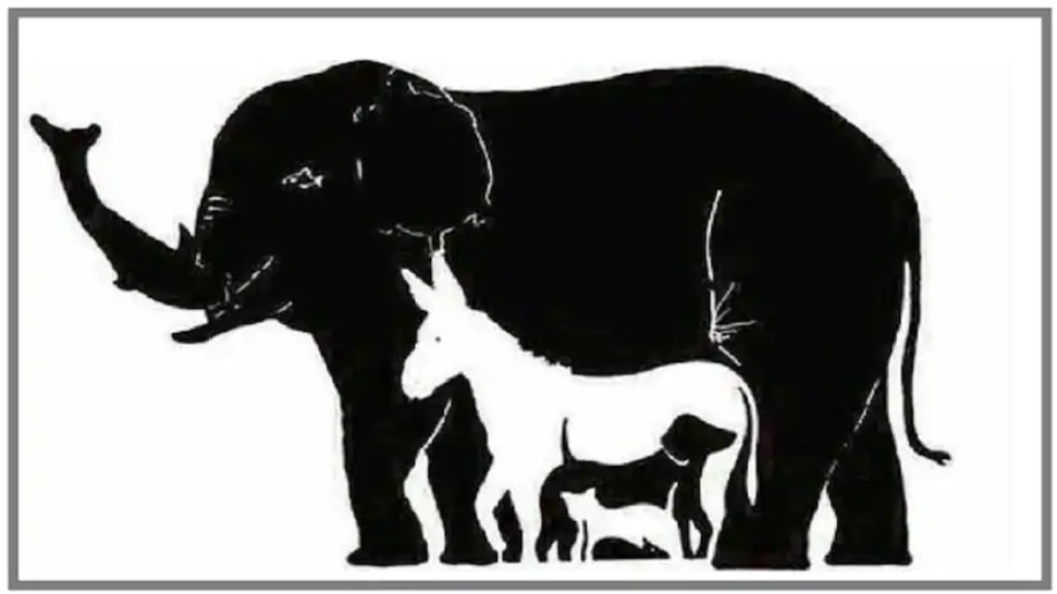 खोजो तो जानें: इस फोटो में चार नहीं बल्कि छिपे हैं 16 जीव-जंतु, केवल जीनियस ही 10 सेकंड में ढूंढ सकते हैं