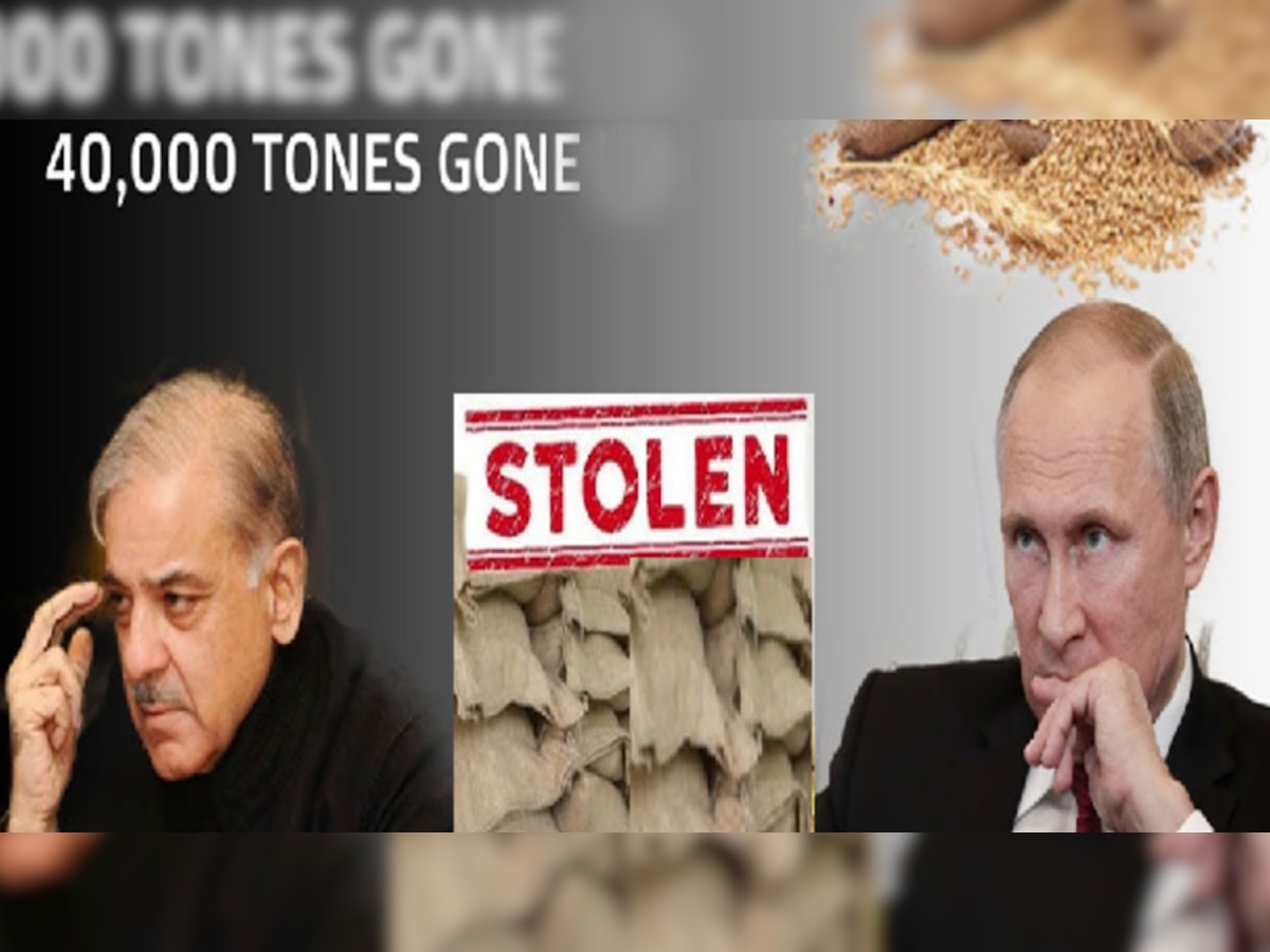 Pakistan Wheat Crisis: भूखे मर रही PAK की जनता, अफसरों ने भर लिए भंडार... चुरा लिया रूस से आया इतना गेहूं