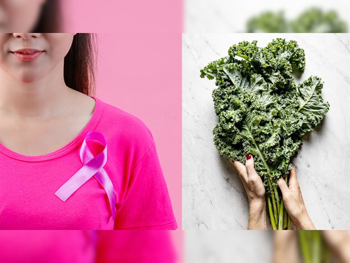 Health Benefits Of Kale Khane Ke Fayde Green Leafy Vegetable Stronger