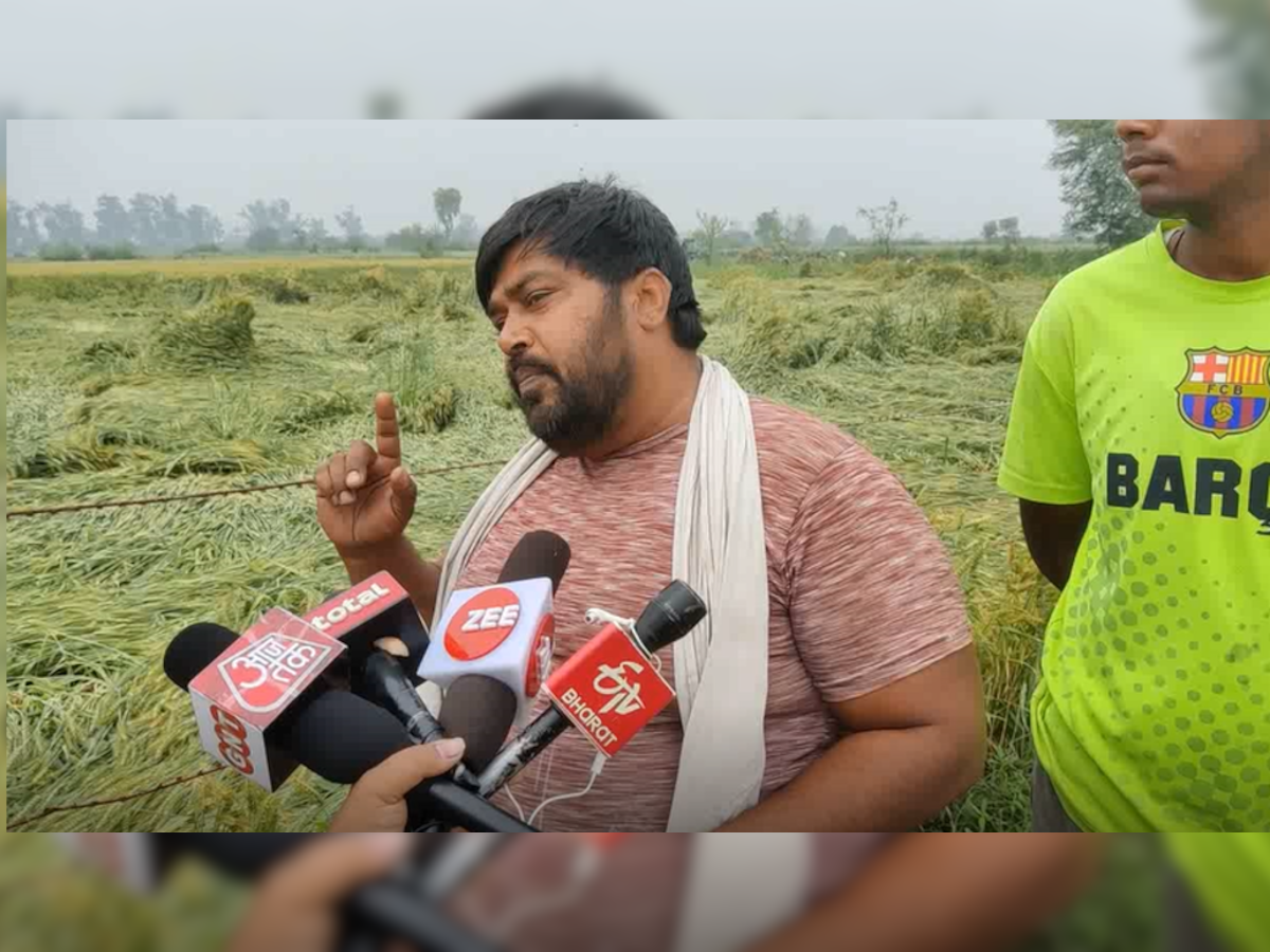 Delhi: बेमौसम बारिश से फसल हुई बर्बाद, अब किसान कर रहे सरकार से मुआवजे की मांग 