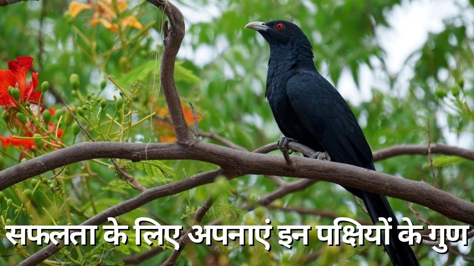 safalta ki kunji motivational tips follow these qualities of these 3